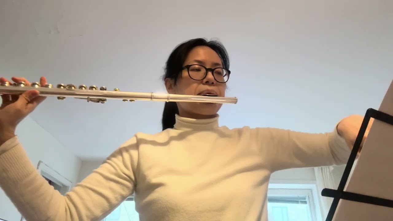 Mozart Flute Concerto No.1 in G major, K313: 1. Allegro maestros