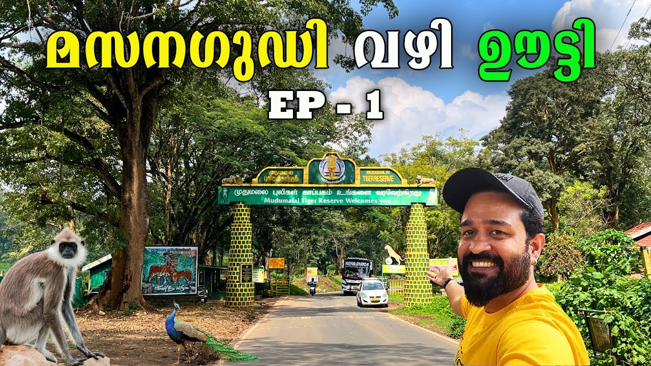 OOTY via MASINAGUDI | മസിനഗുടി വഴി ഊട്ടി | MUDHUMALAI TIGER RESERVE | PART 1 -Vlog 39