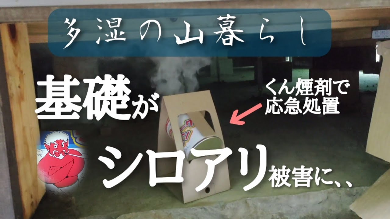 【シロアリとの戦いvol.2】赤い魔人に助けを求める