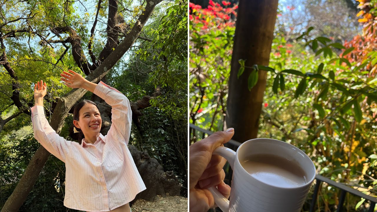 Maquillaje y Plantas en casa