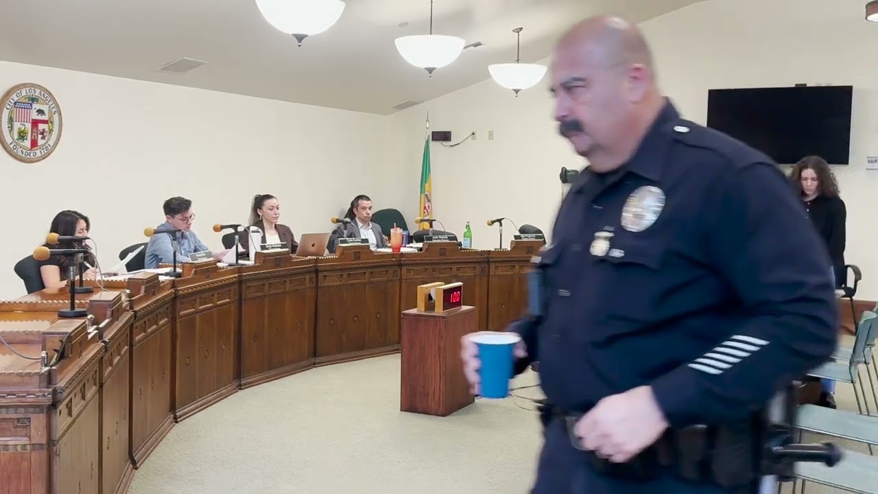Government Structure Committee - LA City Charter Reform Commission (Meeting 7) January 14, 2026