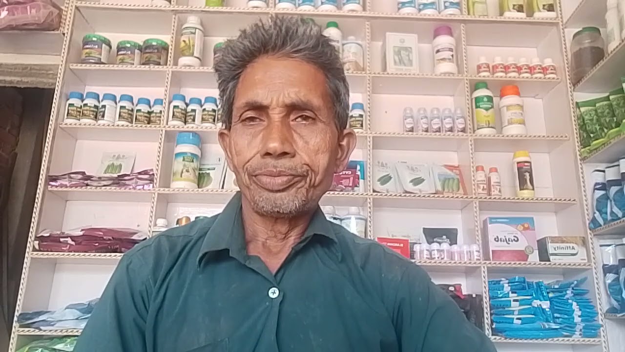 रामदाना में500 की तेजी सरसों मेंभारी गिरावट