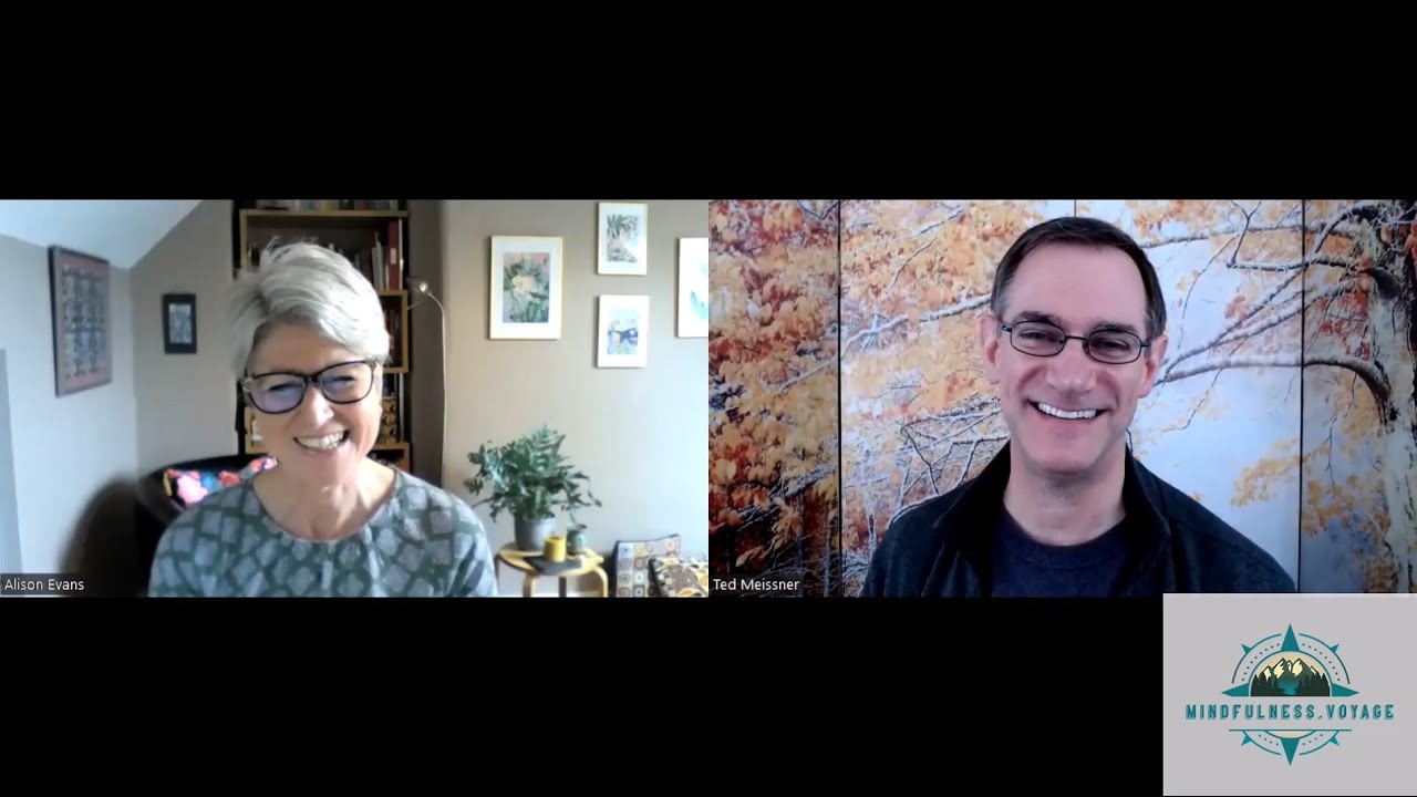Mindfulness Voyage 004 -- Supervision in Mindfulness