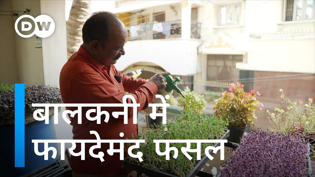 घर की कम जगह में माइक्रोग्रीन्स उगाकर कमाएं पैसा [Benefits of farming microgreens at home]