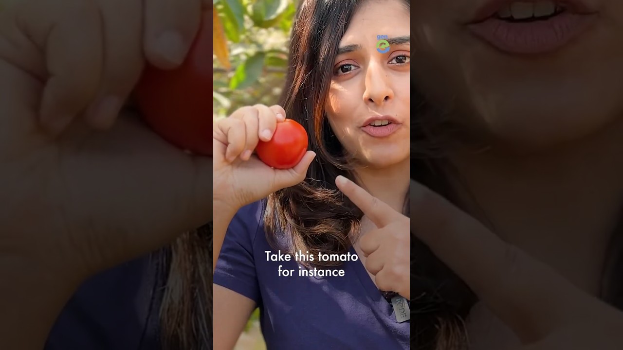 The Netflix for fruits and vegetables in  India - Farmizen