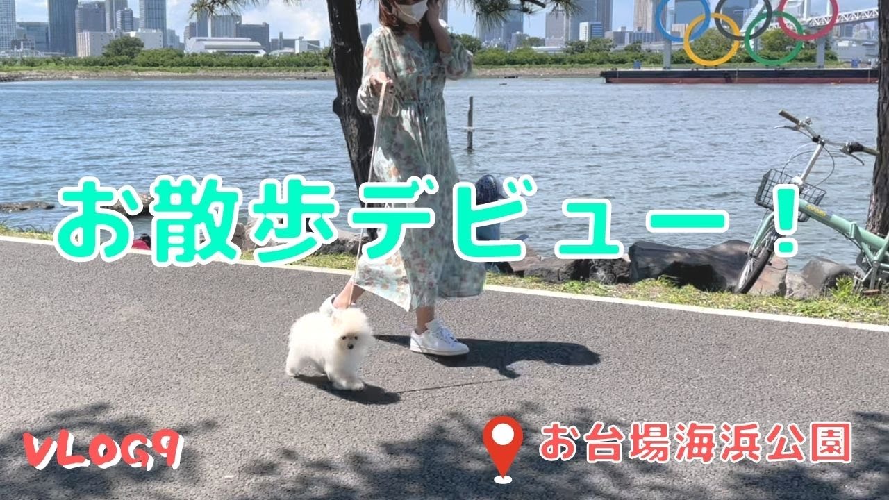 お散歩デビュー｜お台場海浜公園｜Vlog#9
