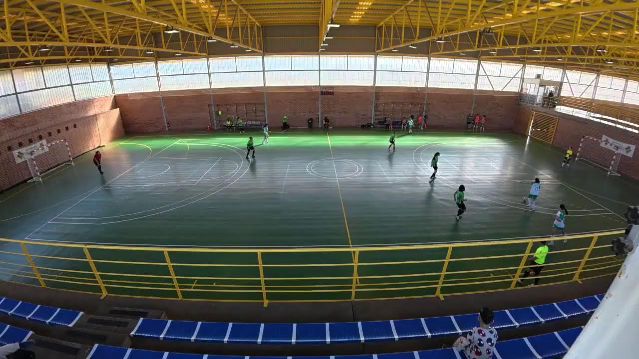Bisontes Castellón vs F. S Morvedre
