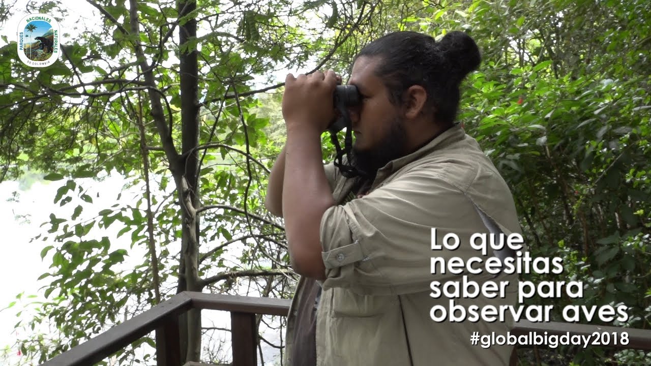 LO QUE NECESITAS SABER PARA OBSERVAR AVES