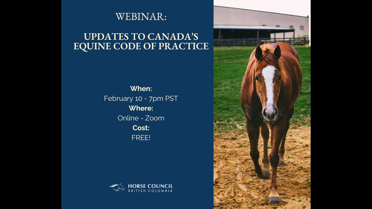 Updates to Canada's Equine Code of Practice
