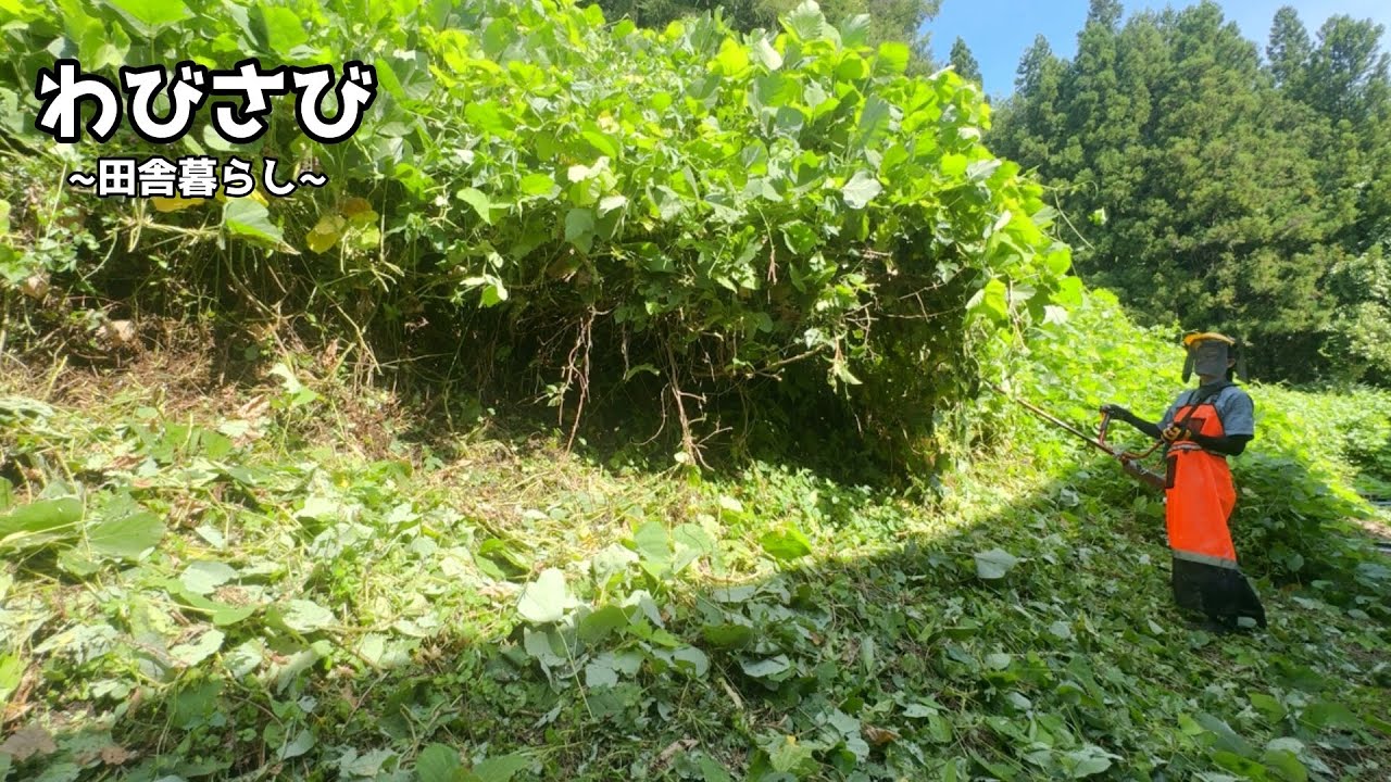♯34｜ジャングルになりかけた家の周りを徹底草刈り【田舎暮らし】
