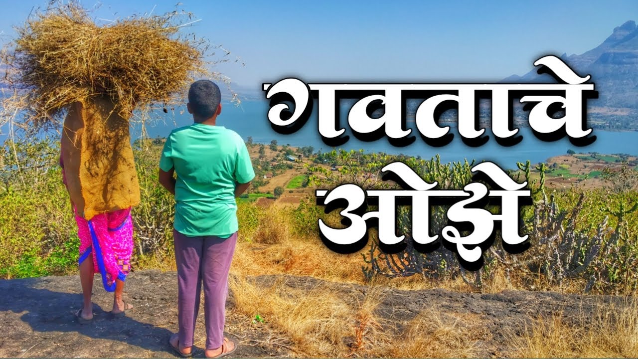 गवताचे ओझे | मौल्यवान आठवणी | Gavatache ojhe | Precious memories