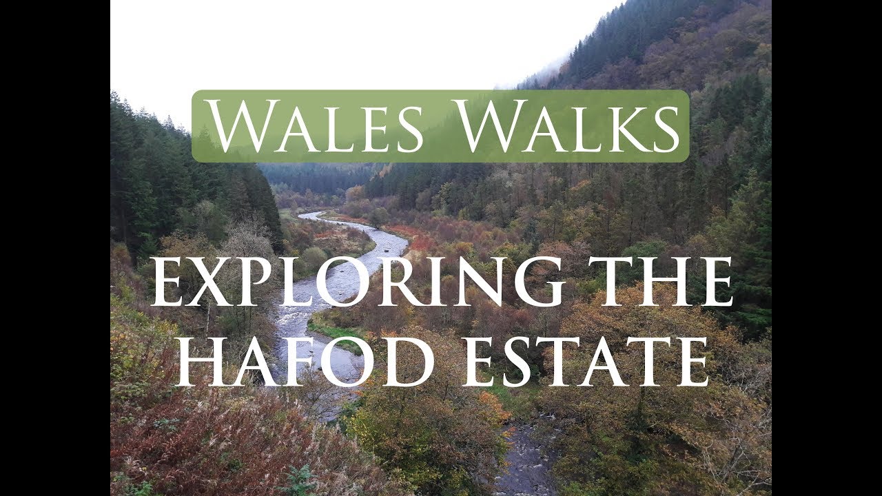 Wales Walks | Exploring the Hafod Estate
