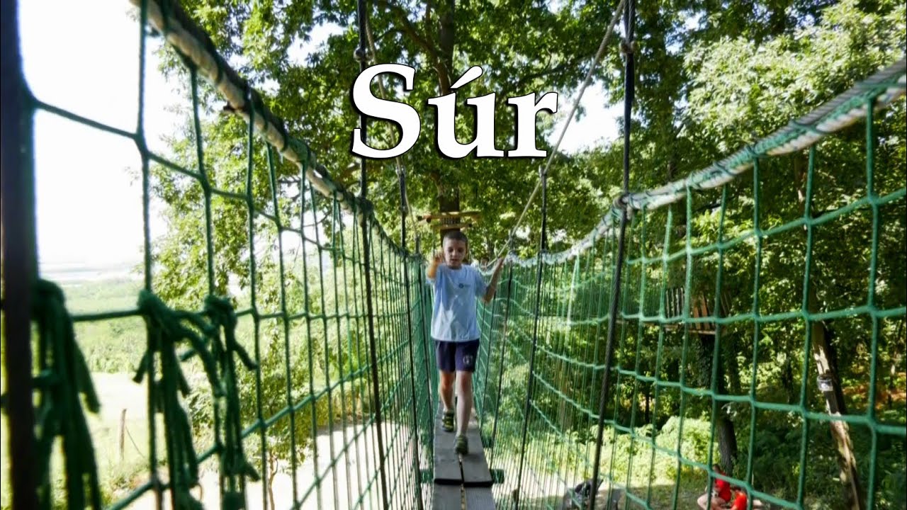 Lombkorona sétány és erdei pihenőpark