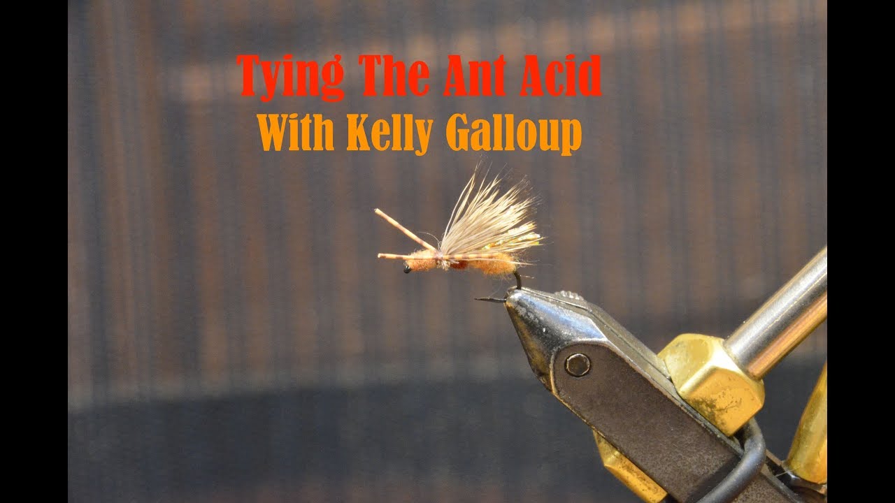 Tying The Ant Acid with Kelly Galloup