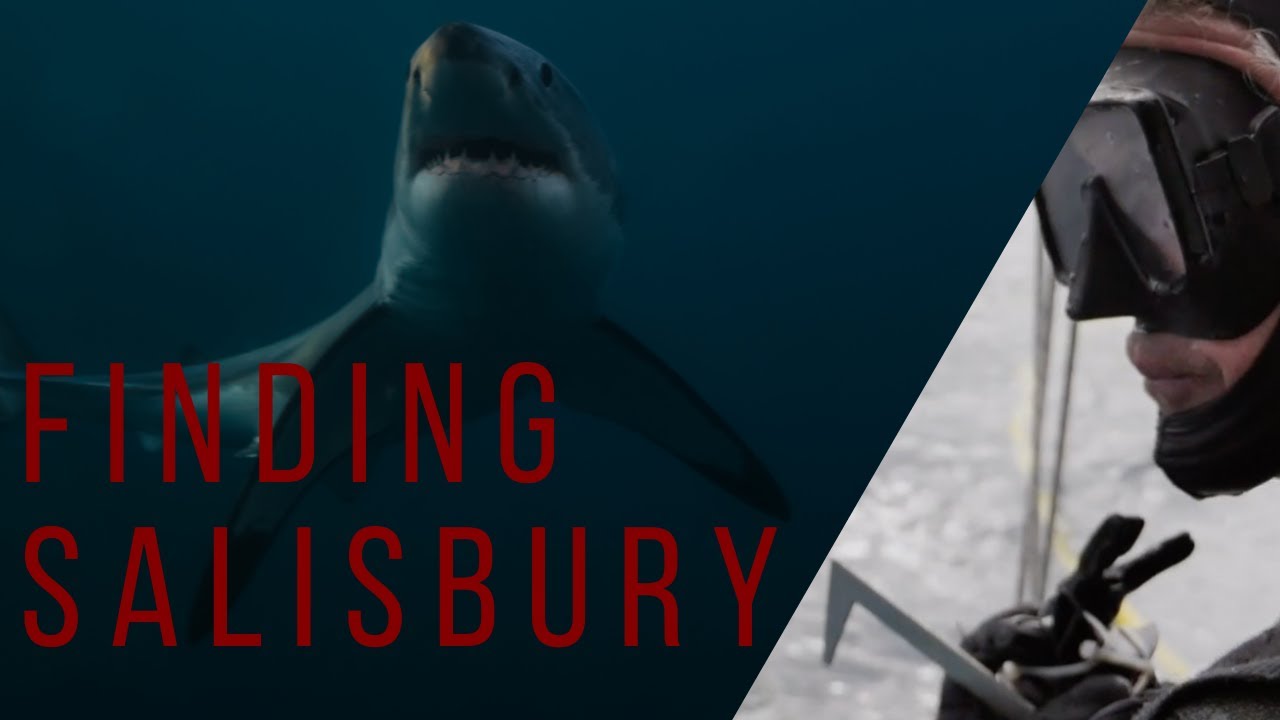 Abalone Diver Working In Deadly Great White Shark Waters | Finding Salisbury