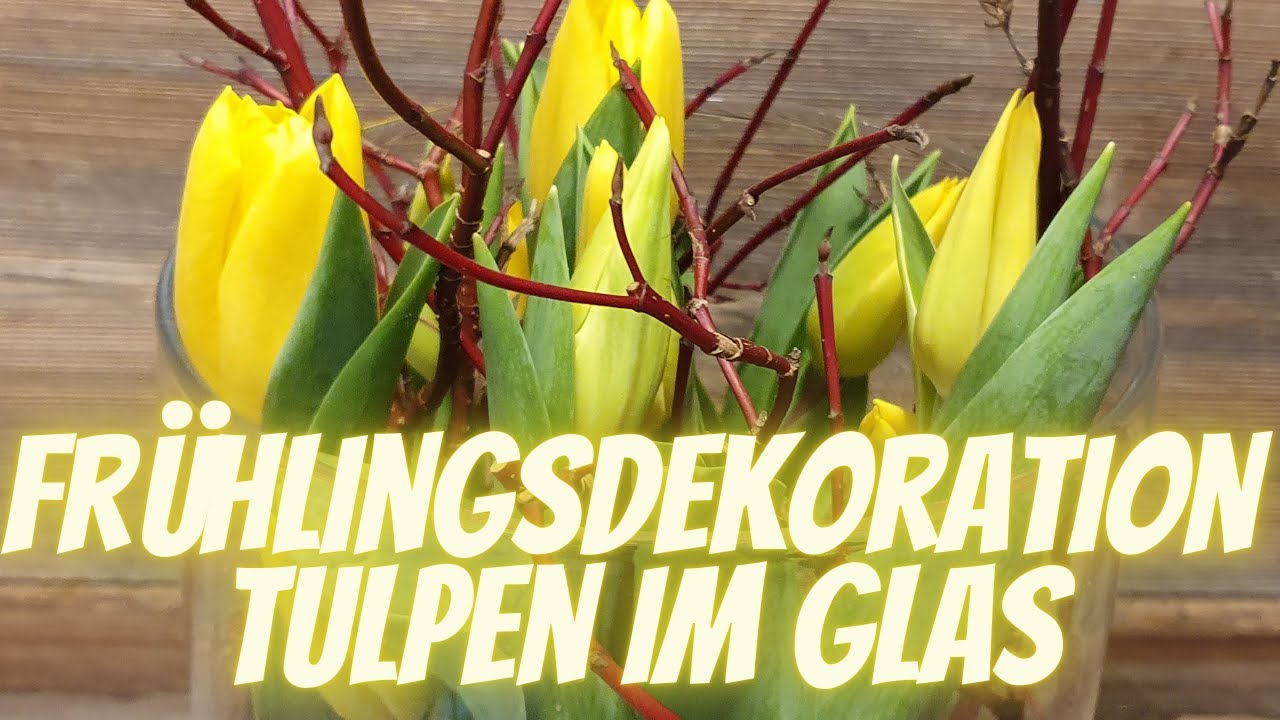 Tulpen in Vase einstellen - Schnelle Frühlingsdekoration - DIY Frühlings Deko Idee vom Blumenmann