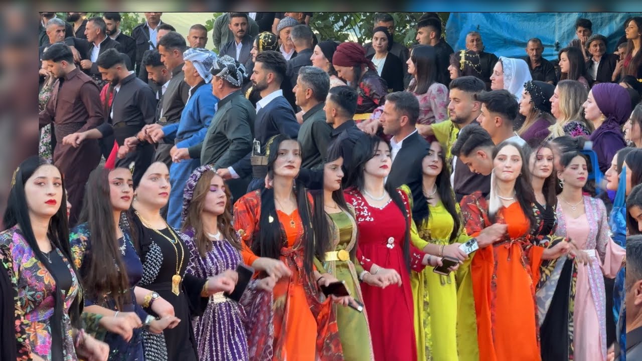 Rugeş bazi Daweta Qeşuriya şifrezan aslanlı  } ©️ 2024 suatvideo