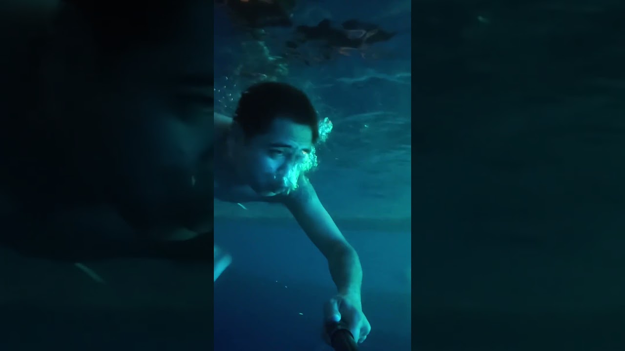 Sisid muna