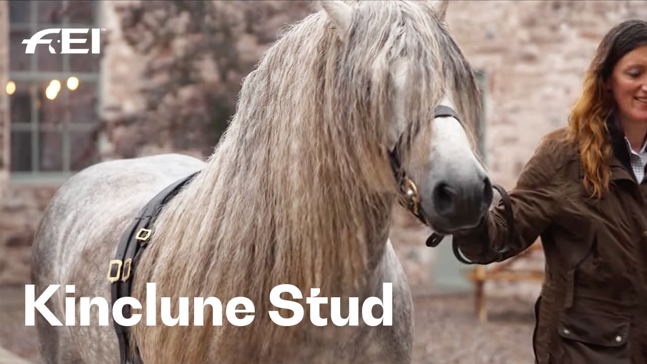 Highland ponies, where heritage meets heart! 💖 | RIDE presented by Longines