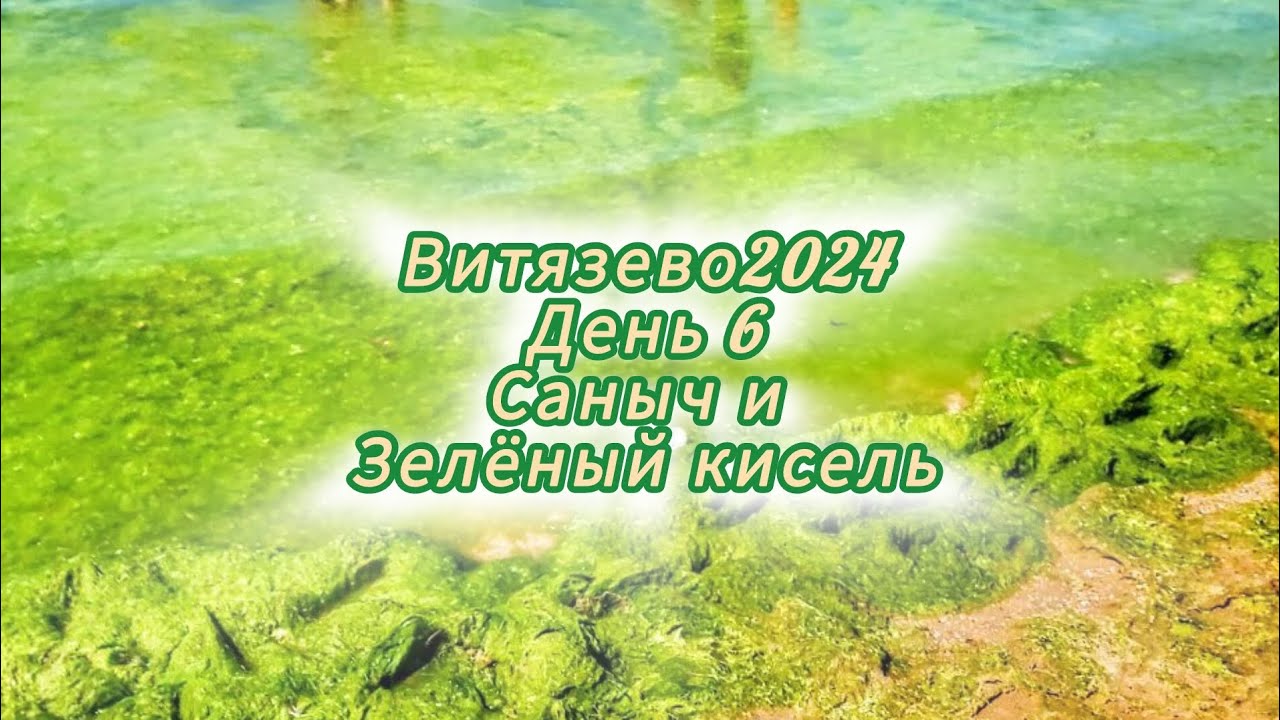 Витязево 2024. день 6. Столовая Сан Саныч. Анапа. Море как зелёный кисель