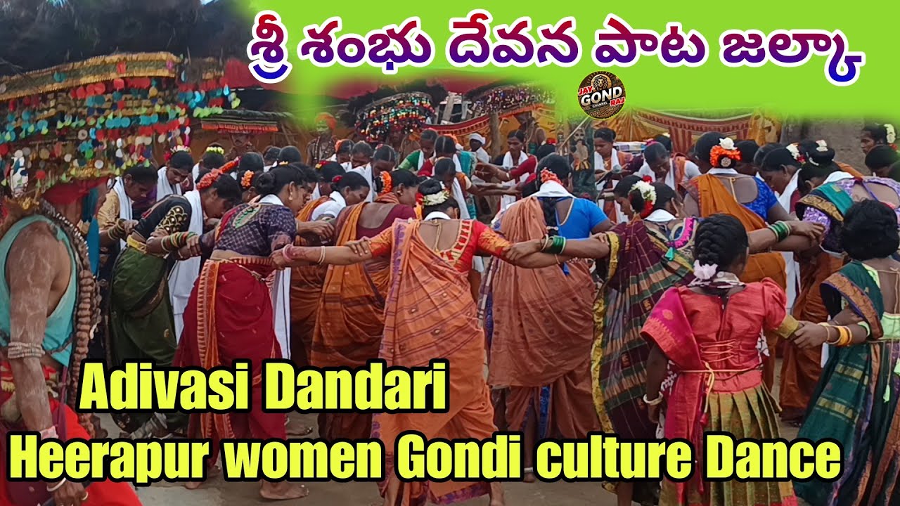 Adivasi Gondi Dandari Heerapur women's Gondi culture dance #jaygondraj HEERAPUR DANDARI VIDEO 