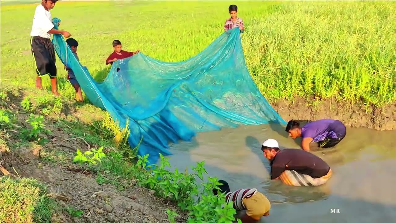 Amazing net fishing video - Best traditional net fishing video by village people (Part-13)