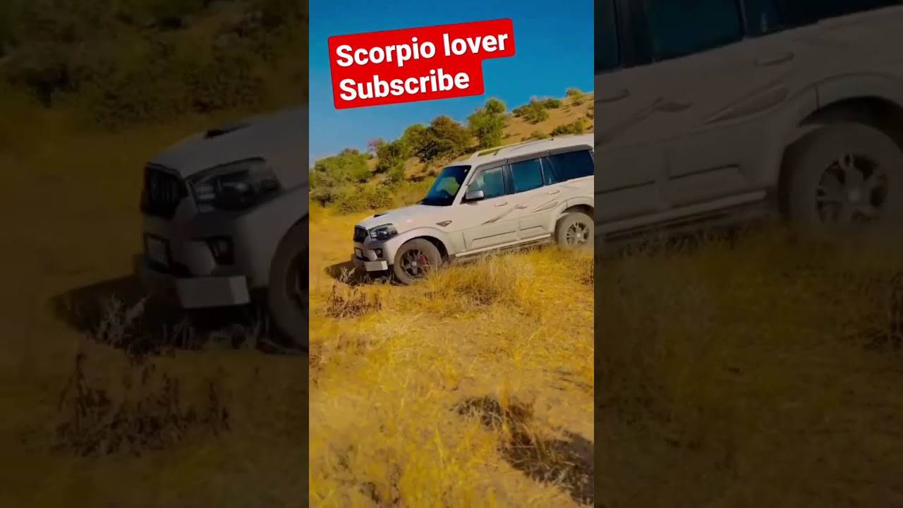 #viralshortvidio