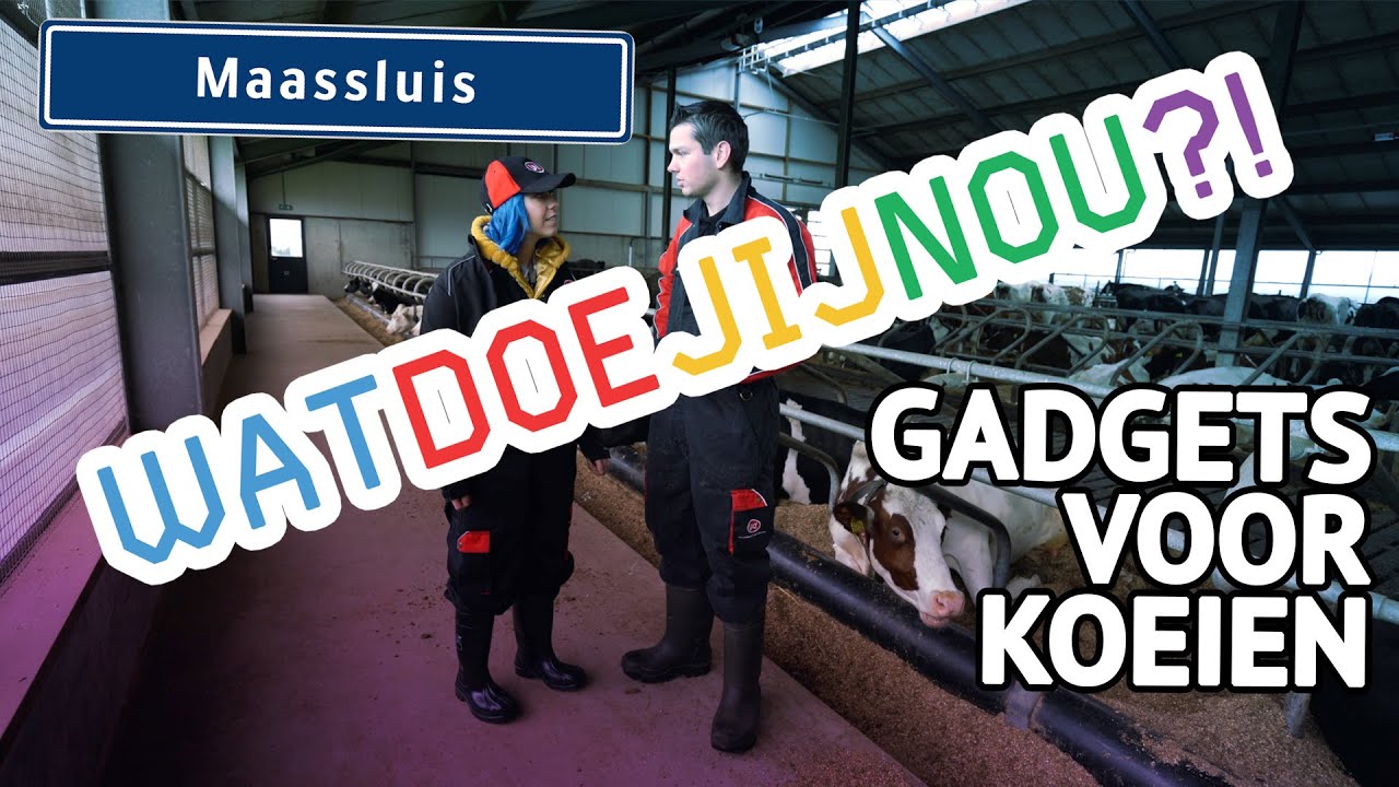 Gadgets voor koeien bij Lely - #WATDOEJIJNOU?!