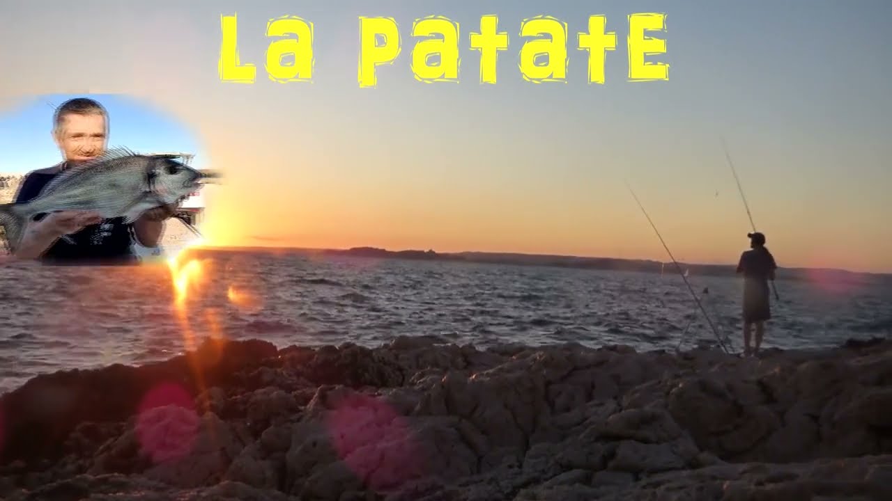 la belle dorade de fos
