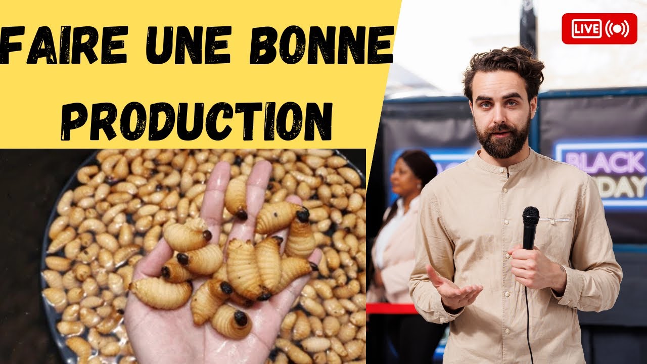 COMMENT FAIRE UNE BONNE PRODUCTION D’HANNETONS