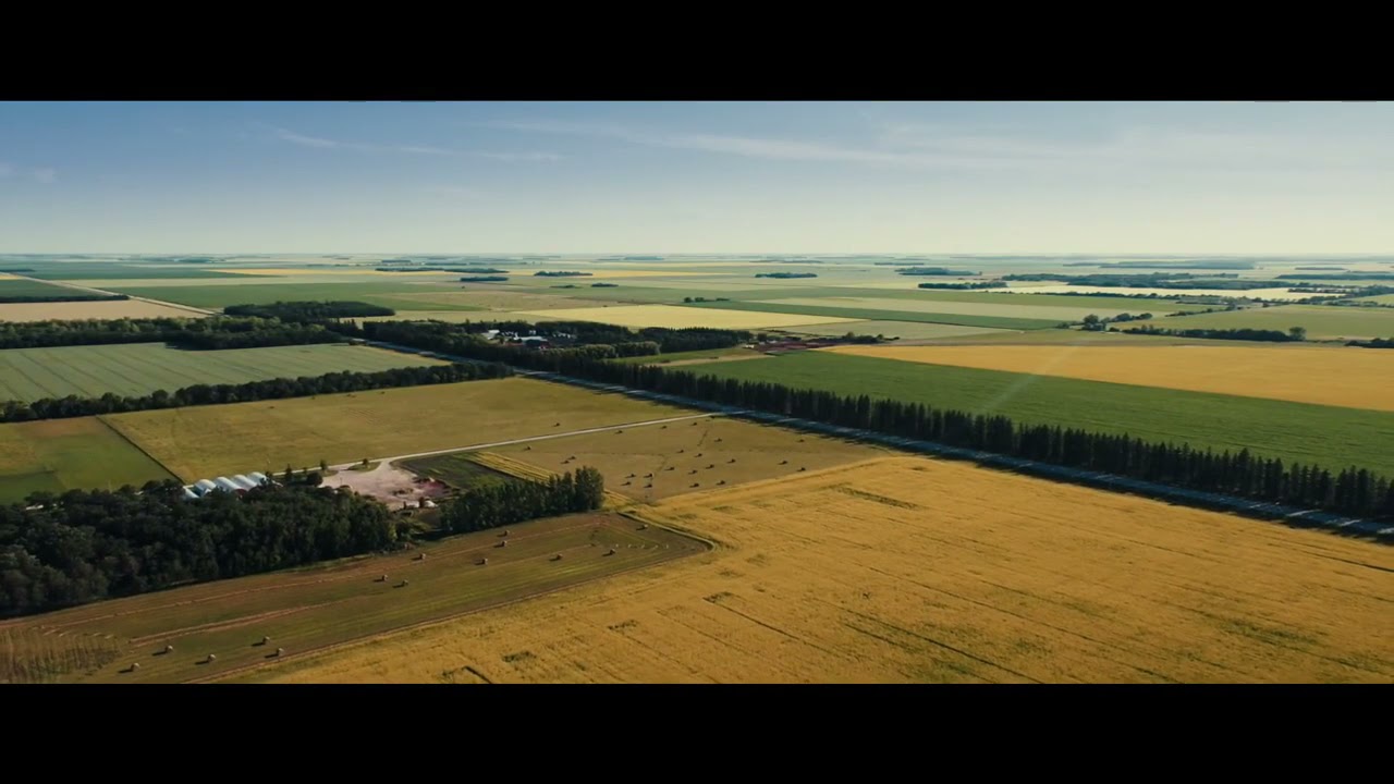 PERCY VS GOLIATH Official Trailer (2021)