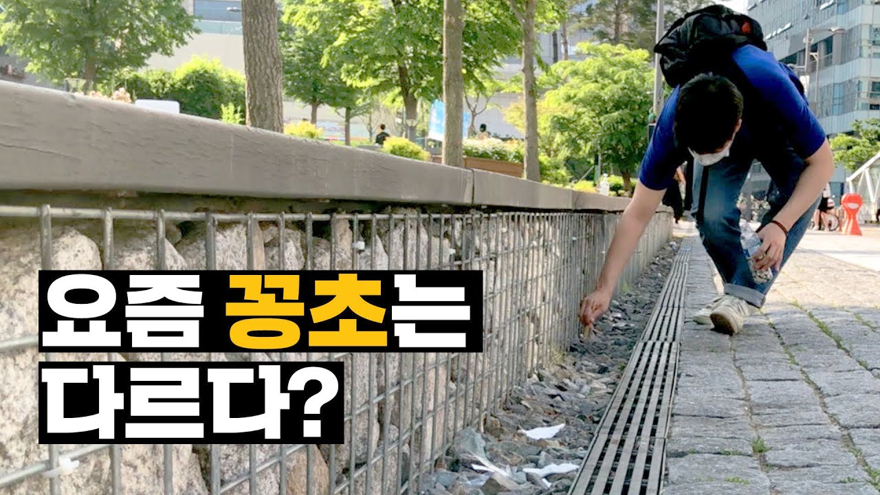 작은 담배꽁초 쓰레기가 도심을 파괴하는 원리 | 씨리얼 사회탐구