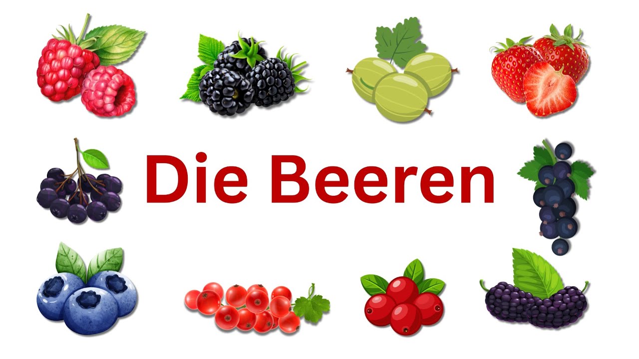 Die Beeren f&uuml;r Kinder | Deutsch f&uuml;r Kinder | Spiel 