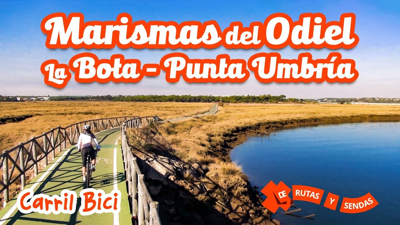 Marismas del Odiel en bici | Playa La Bota y chiringuito incluido
