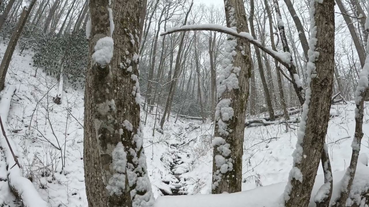 Relax to Natural Spring Snowfall Feeling the Winter Flow No Loop