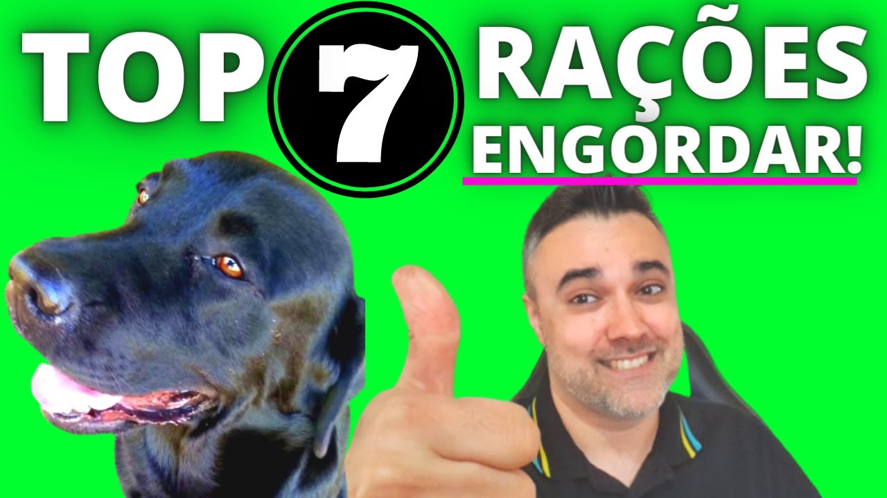 TOP 7 MELHORES RA&Ccedil;&Otilde;ES para ENGORDAR O CACHORRO! S&oacute; as melhores ra&ccedil;&otilde;es!