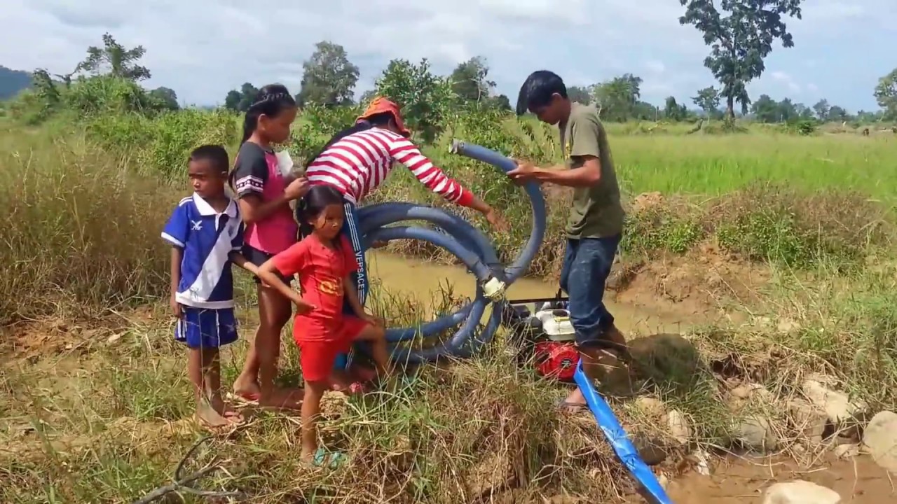 Amazing Fishing at Pailin Province - Cambodia Traditional Fishing - Khmer  Net Fishing (Part 099)