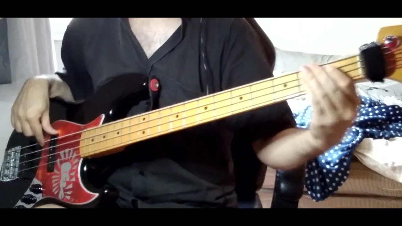 past self - 녹슨 칼 (BASS cover)