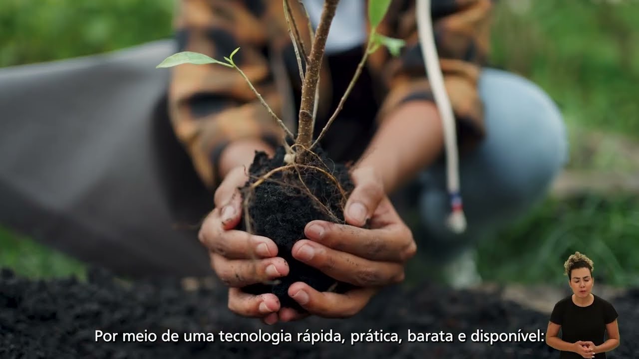 Arco da Restauração da Amazônia