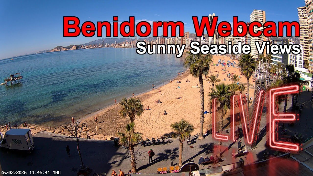 BENIDORM LIVE WEBCAM 🇪🇸 🔴 LIVE: Resort Beach at Night NOW 🏖️🌊