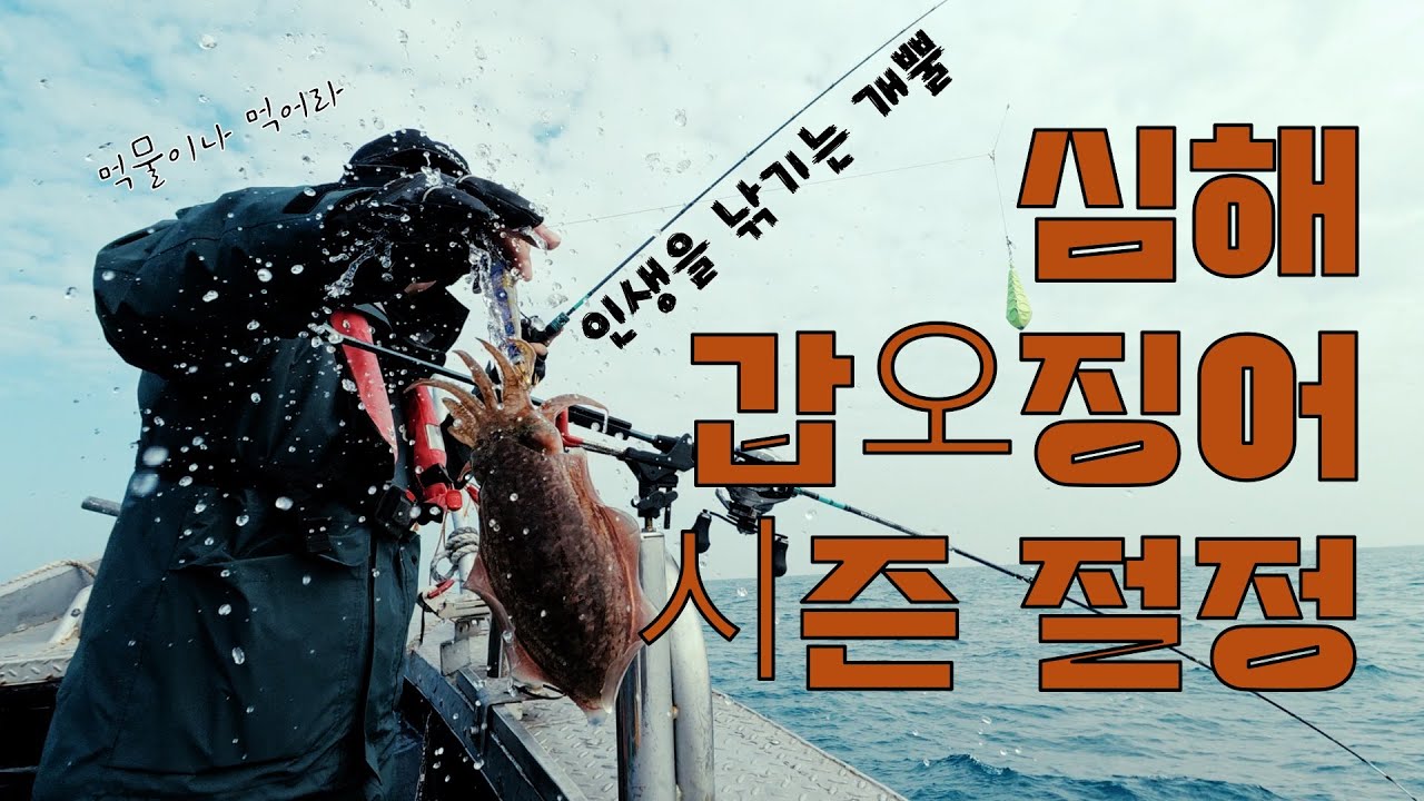 레전드로 말아먹을 뻔했는데...파란만장한 심해 갑오징어 출조! (아~ 이런 기분이구나....ㅎㅎ)