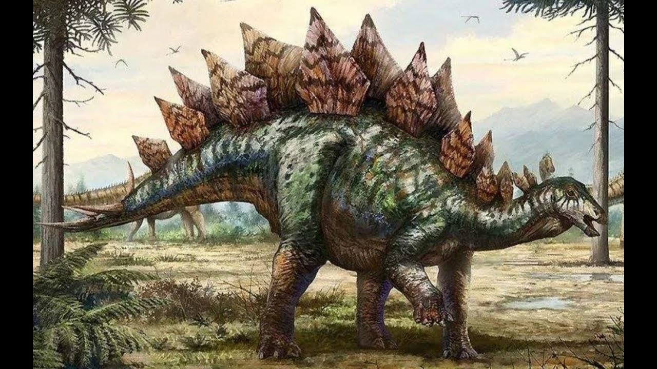 侏罗纪剑客-剑龙类基础知识