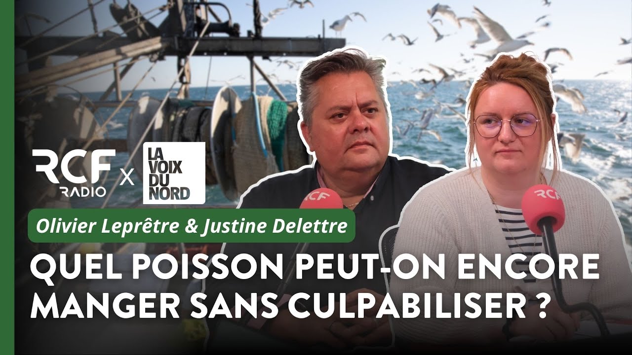 🐟 [Emission sp&eacute;ciale] Oc&eacute;an : quelle p&ecirc;che durable dans les Hauts-de-France ?