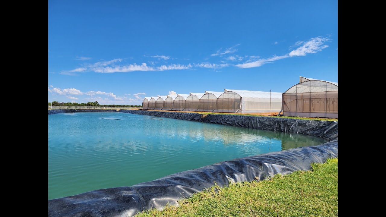 Biggest hydroponic greenhouse project in Botswana, Africa