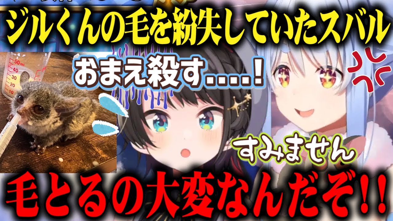 遊戯王カードと一緒に貰った「ジルくんの毛」を紛失した事を告白しぺこらにキレられる大空スバルｗ【切り抜き/ホロライブ】