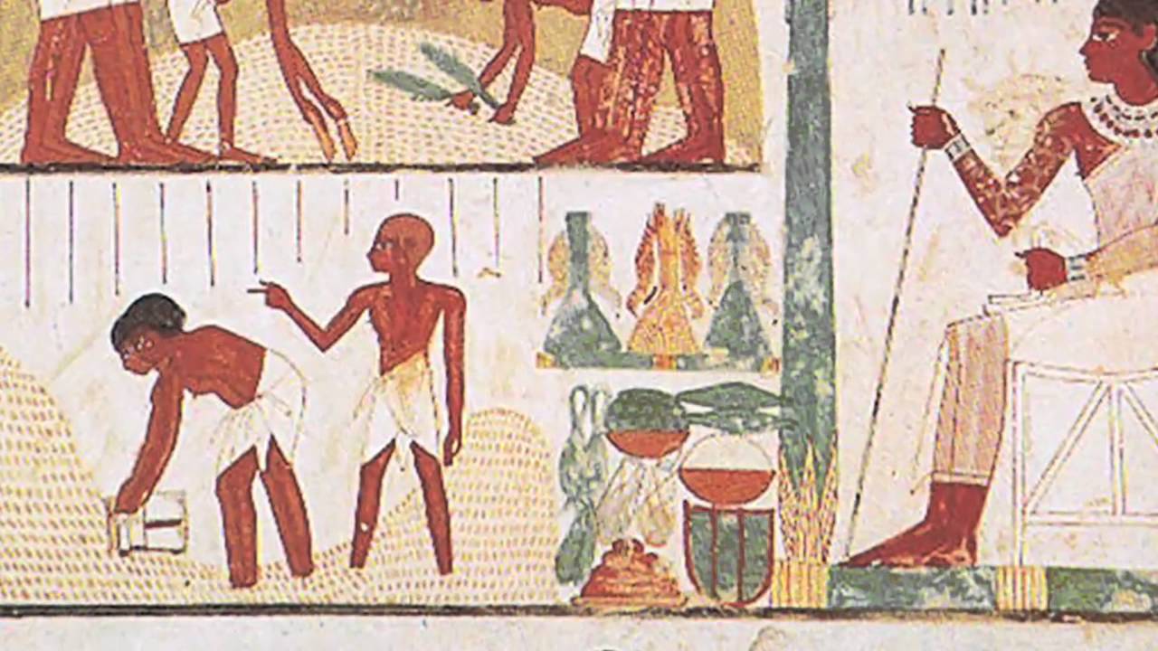 Kamut ~Ancient Grain for Modern Life!