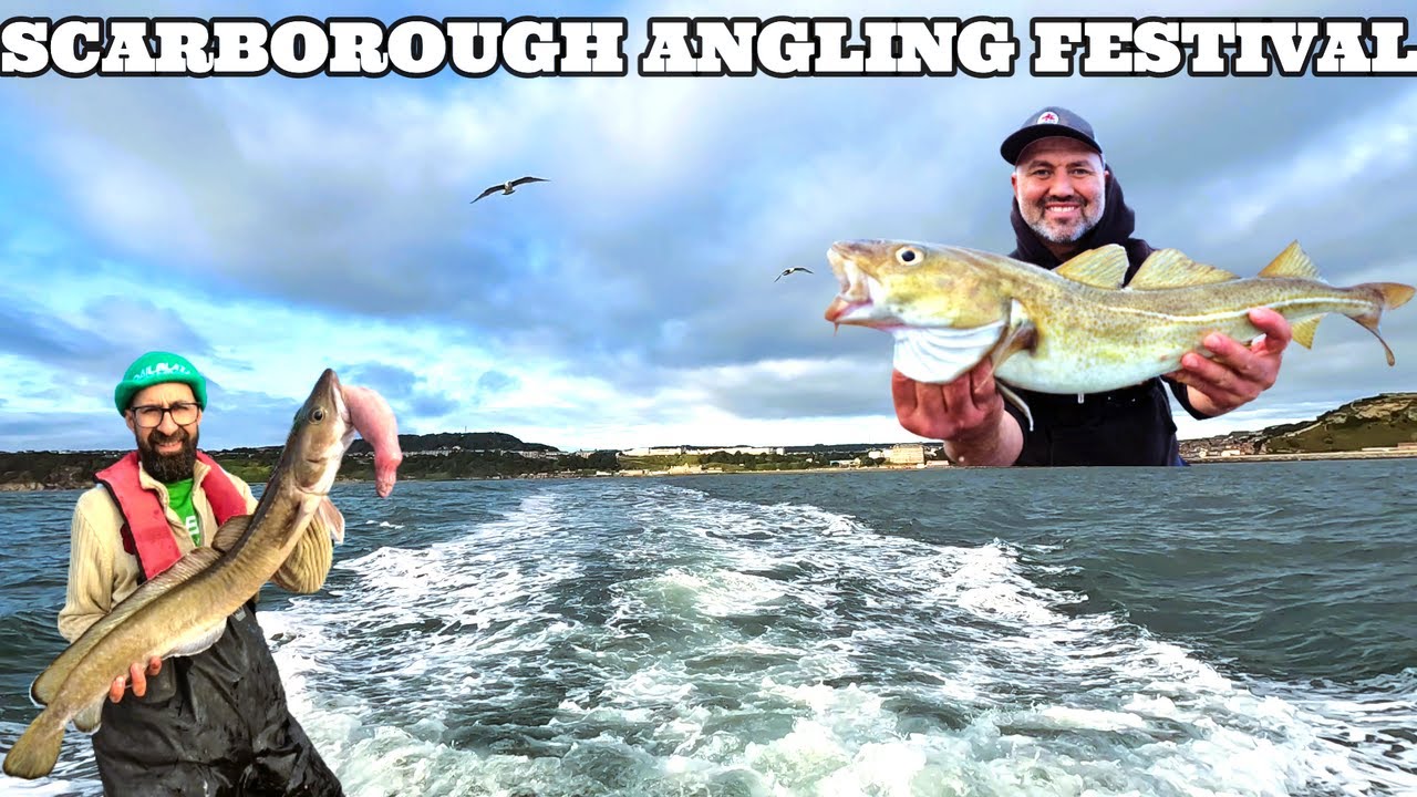 FISHING SCARBOROUGH ANGLING FESTIVAL | COD & LING FISHING ABOARD REEL IT RY RY | CHARTER FISHING UK