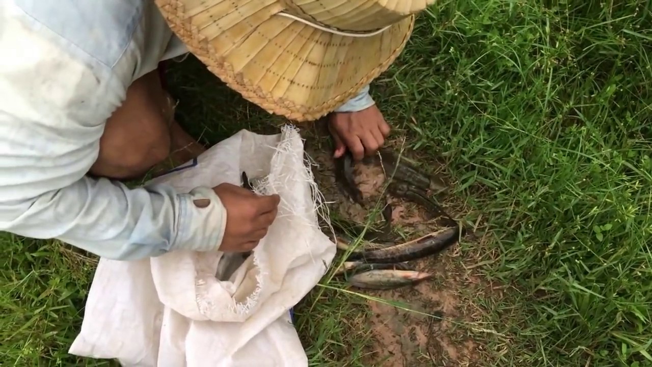 AMAZING Fishing With Bottle In River Net Fishing In Siem Reap Province Khmer Cast Net Fish