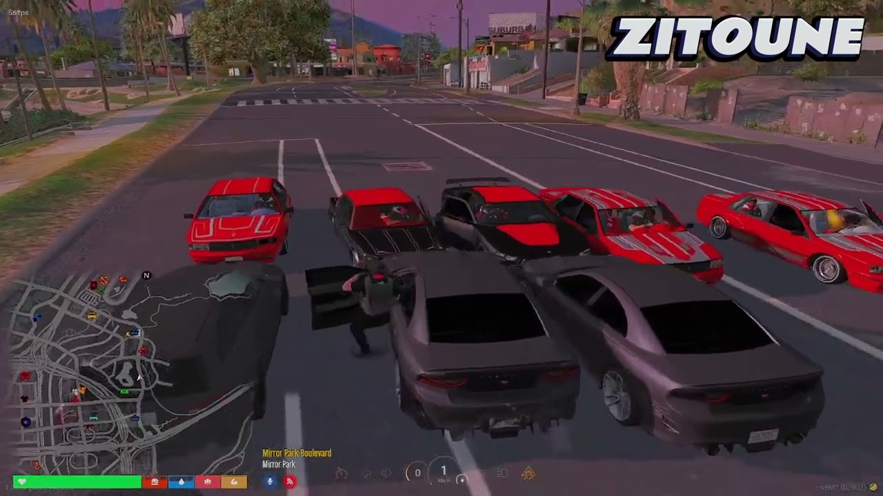 POV ZITOUNE : GUERRE PETROVIC VS BLOODS #baylife