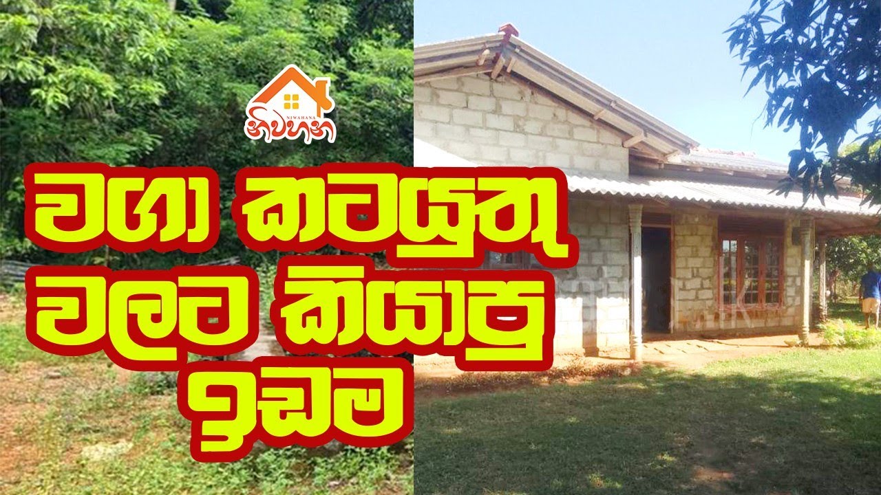 පදවිය – වවුනියාව පාරේ House with 1 Acre Land for Sale